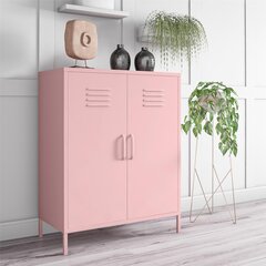 Шкафчик Novogratz Cache, розовый цвет цена и информация | Шкафчики в гостиную | pigu.lt