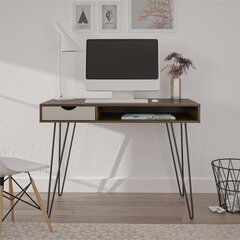 Письменный стол Novogratz Concord, коричневый цена и информация | Компьютерные, письменные столы | pigu.lt
