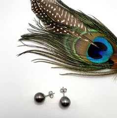 Auksiniai auskarai su Taičio perlais kaina ir informacija | Auskarai | pigu.lt
