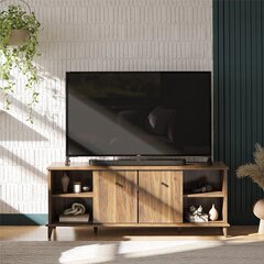 ТВ-столик Queer Eye Farnsworth, коричневый цвет цена и информация | Тумбы под телевизор | pigu.lt