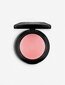 Skaistalai Mac Mineralize Blush, Dainty, 3.2 g. kaina ir informacija | Bronzantai, skaistalai | pigu.lt