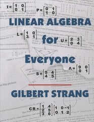 Linear Algebra for Everyone New edition kaina ir informacija | Ekonomikos knygos | pigu.lt