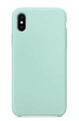 Dėklas Liquid Silicone 1.5mm Apple iPhone X/XS mėtinis kaina ir informacija | Telefono dėklai | pigu.lt