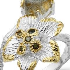 Серебряное (925) кольцо с драгоценными камнями, код f50292 F50292EU-57 цена и информация | Кольца | pigu.lt