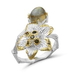 Серебряное (925) кольцо с драгоценными камнями, код f50292 F50292EU-57 цена и информация | Кольцо | pigu.lt