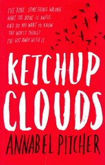 Ketchup Clouds цена и информация | Книги для подростков  | pigu.lt