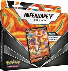 Pokemon TCG - Infernape V Box Showcase kaina ir informacija | The Pokémon Company International Vaikams ir kūdikiams | pigu.lt