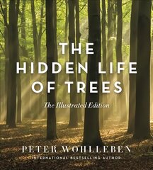 Hidden Life of Trees: The Illustrated Edition цена и информация | Книги о питании и здоровом образе жизни | pigu.lt
