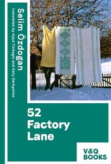 52 Factory Lane: Books two of the Anatolian Blues trilogy 2022, 2 цена и информация | Романы | pigu.lt