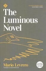 Luminous Novel цена и информация | Романы | pigu.lt
