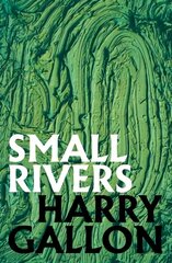 Small Rivers kaina ir informacija | Fantastinės, mistinės knygos | pigu.lt
