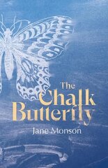 Chalk Butterfly цена и информация | Поэзия | pigu.lt