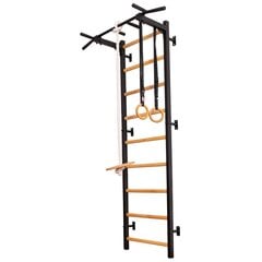 Деревянно-металлическая гимнастическая лестница - BenchK 311B, с аксессуарами цена и информация | Шведские стенки | pigu.lt