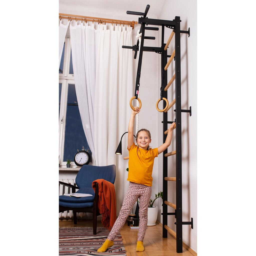 Medinės-metalinės gimnastikos kopėčios - BenchK 311B, su priedais цена и информация | Gimnastikos sienelės | pigu.lt