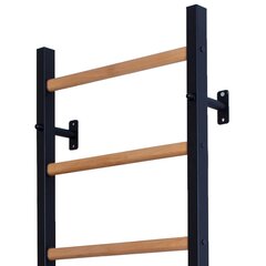 Деревянно-металлическая гимнастическая лестница - BenchK 210B цена и информация | Шведские стенки | pigu.lt
