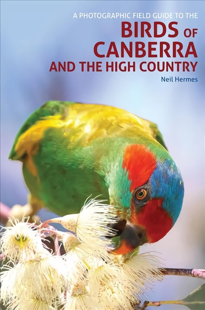 Photographic Field Guide to Birds of Canberra & the High Country 2nd ed kaina ir informacija | Fotografijos knygos | pigu.lt