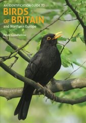 Identification Guide to Birds of Britain and Northern Europe (2nd edition) 2nd Revised edition kaina ir informacija | Knygos apie sveiką gyvenseną ir mitybą | pigu.lt