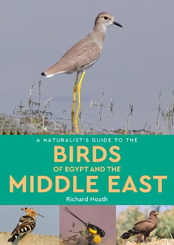 Naturalist's Guide to the Birds of Egypt and the Middle East цена и информация | Enciklopedijos ir žinynai | pigu.lt