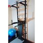 Gimnastikos kopėčios BenchK 513 kaina ir informacija | Gimnastikos sienelės | pigu.lt