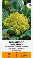 Kopūstai žiediniai Romanesco Natalino kaina ir informacija | Daržovių, uogų sėklos | pigu.lt