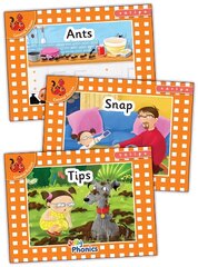 Jolly Phonics Orange Level Readers Set 1: in Precursive Letters (British English edition) цена и информация | Книги для подростков  | pigu.lt