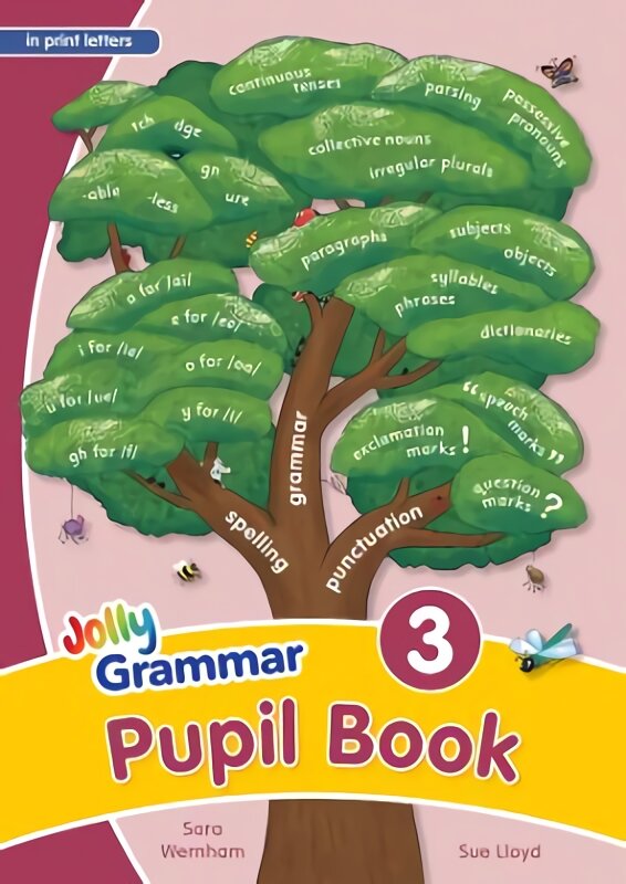 Grammar 3 Pupil Book: In Print Letters (British English edition) Student edition, 3 kaina ir informacija | Knygos paaugliams ir jaunimui | pigu.lt