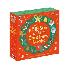 Big Box of Little Christmas Books цена и информация | Книги для самых маленьких | pigu.lt