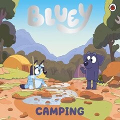 Bluey: Camping цена и информация | Книги для малышей | pigu.lt