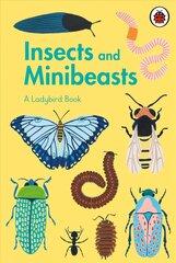 Ladybird Book: Insects and Minibeasts цена и информация | Книги для подростков и молодежи | pigu.lt