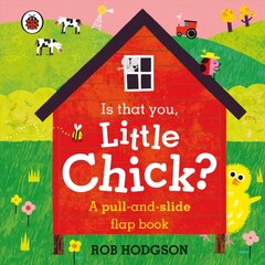 Is that you, Little Chick?: A pull-and-slide flap book kaina ir informacija | Knygos mažiesiems | pigu.lt