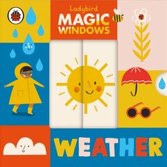 Magic Windows: Weather цена и информация | Книги для малышей | pigu.lt