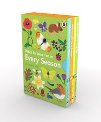 What to Look For in Every Season: A Ladybird Book Boxset kaina ir informacija | Knygos paaugliams ir jaunimui | pigu.lt