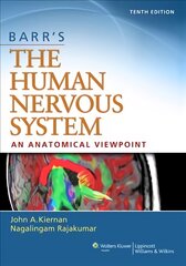 Barr's The Human Nervous System: An Anatomical Viewpoint 10th edition цена и информация | Книги по экономике | pigu.lt