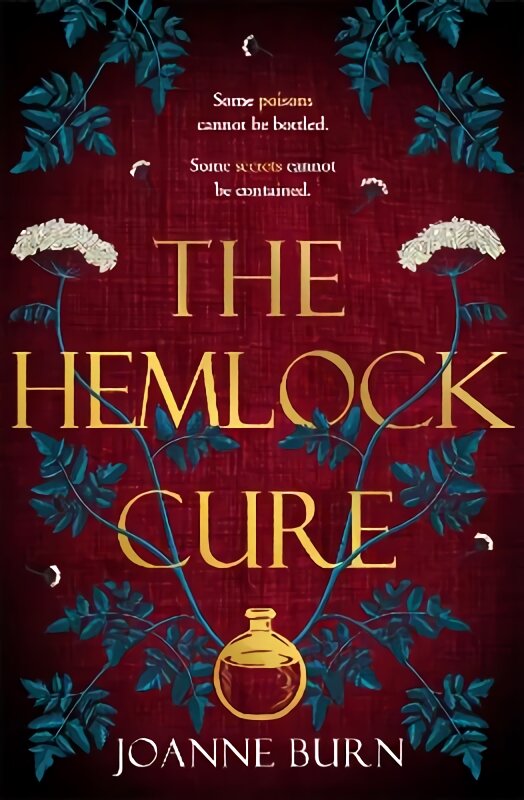 Hemlock Cure: A beautifully written story of the women of Eyam Jennifer Saint, author of ARIADNE kaina ir informacija | Fantastinės, mistinės knygos | pigu.lt