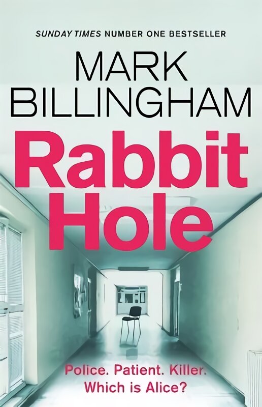Rabbit Hole: The new masterpiece from the Sunday Times number one bestseller kaina ir informacija | Fantastinės, mistinės knygos | pigu.lt
