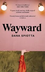 Wayward цена и информация | Фантастика, фэнтези | pigu.lt