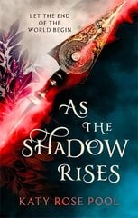 As the Shadow Rises: Book Two of The Age of Darkness цена и информация | Фантастика, фэнтези | pigu.lt