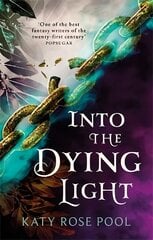 Into the Dying Light: Book Three of The Age of Darkness цена и информация | Фантастика, фэнтези | pigu.lt