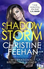 Shadow Storm kaina ir informacija | Fantastinės, mistinės knygos | pigu.lt