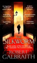 Silkworm: Cormoran Strike Book 2 kaina ir informacija | Fantastinės, mistinės knygos | pigu.lt