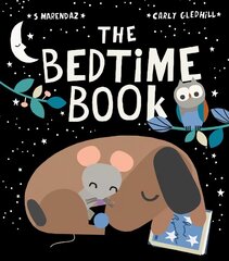 Bedtime Book цена и информация | Книги для самых маленьких | pigu.lt