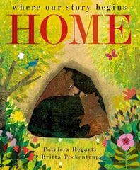 Home: where our story begins цена и информация | Книги для малышей | pigu.lt