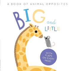 Big and Little: A Book of Animal Opposites kaina ir informacija | Knygos mažiesiems | pigu.lt