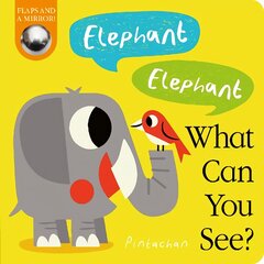 Elephant! Elephant! What Can You See? цена и информация | Книги для малышей | pigu.lt