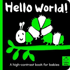 Hello World! цена и информация | Книги для малышей | pigu.lt