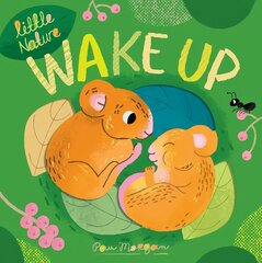 Wake Up цена и информация | Книги для подростков и молодежи | pigu.lt