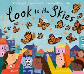 Look to the Skies цена и информация | Книги для детей | pigu.lt