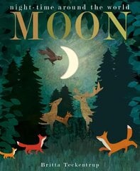 Moon: night-time around the world цена и информация | Книги для малышей | pigu.lt