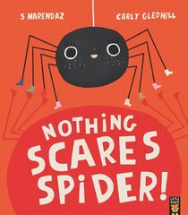 Nothing Scares Spider kaina ir informacija | Knygos mažiesiems | pigu.lt