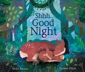 Shhh...Good Night цена и информация | Книги для подростков  | pigu.lt